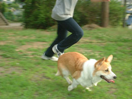 ���C�ɑ���悧�`�`�I�I