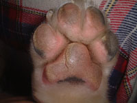 ����Ă�����E�E�N���[���ʂ낤�ˁI�I