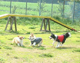 ��������y����