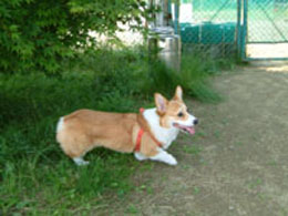 ��������񂾂�B�ׂ��҂��ł��`�a�x����