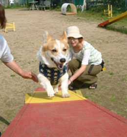 ����΂��������I�I