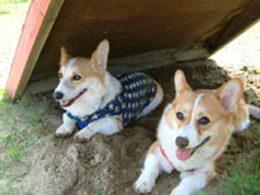 ��x�݁E�E�E�E�E���������E���E�����Y