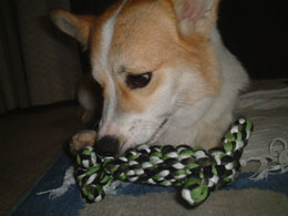 �V��������������I�I�ԂƂ����낢�Ȃ񂾁I�I