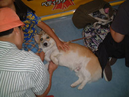 �l���S��������ԍD���I�I