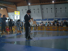 �S������񂷂Ă��I�I