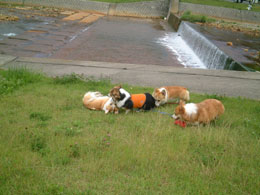 �݂�ȂŃ��C���C�I�I