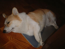 �����������I�I