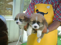 �E���Ԃ����Ł`�`���I�I