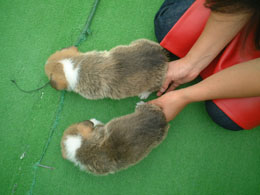 �オ�Ԃ����Ł`�`���I�I�}�}�̂����ς������ς�����ŁA���N�D�ǎ��Ȃ̂��I�I