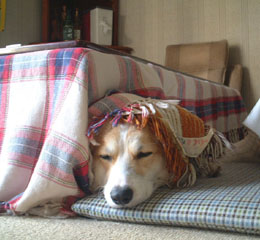 �����Ɠ����I�H