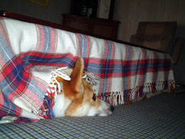 �������ځ`�`��