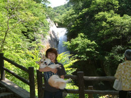 ��P�ꂾ��I�I