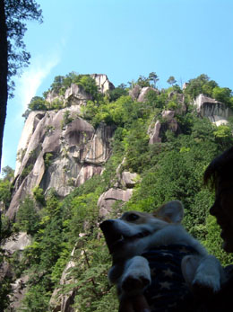 �u�s�g�d�@���勬�v