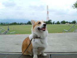 ��낪�h���S���p�[�N�B�l�͓������Ⴞ�߂����āI�I