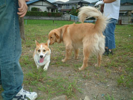 ���u����񂾂�B�����N�����Ǒ傫���ˁI�I