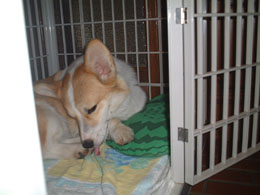 ���������C�����悭�Q�Ă��̂ɂȂ��`�`