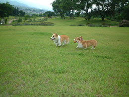 �l�ƐS�������I�I�S������񂩂킢���ˁ`�I�I