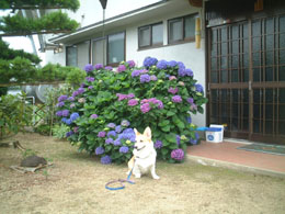 �n�C�|�[�Y�I�I�����Ȃꂽ��l�E�E�E