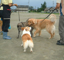 ���u�����ƃ��L�����ƈꏏ�I�I