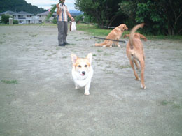 �݂�ȑ������Ȃ��`�`�B�l�������̕K������I�I