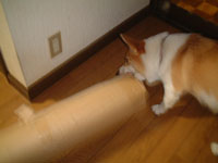 �������낻���������I�I