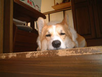 �������Ă�那�`�`�`�`