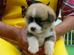 �ԂŁ`�`���I�I