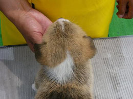 �����̎O�p���F���ڈ󂾂�I�I