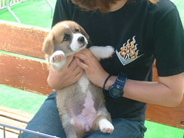 �u�ԁv�ČĂ񂾂�����Ă��ꂽ��I�I