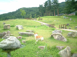 �L���ĂƂ��Ă��悢�Ƃ��낾��I