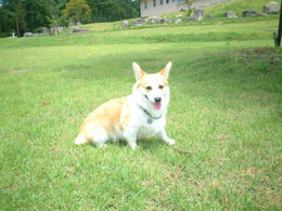 ��l���q�Ō�̎p�H�I