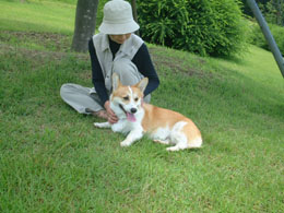 �Â���ڏ����Y�E�E���Z����ɂȂ�邩�ȁH�H