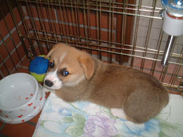 ���������V��ł�`�I�I