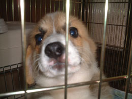 �����Ă��ꂥ�`�`�`�I�I