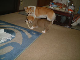 �Ԃ���l�́E�E�E