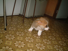 �������������I�I