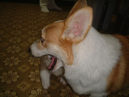 �������`�`�I�I