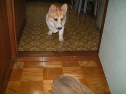 ���x�͂��������Ă�那�`�I