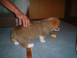 �y����������I�I