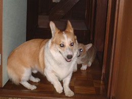 �l�̊�A���ƂȂ��ۂ��Ȃ��H�I