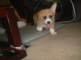 ��������������I�I