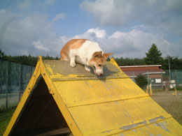 ���ւ��I�I�����Ȃ��悧�`