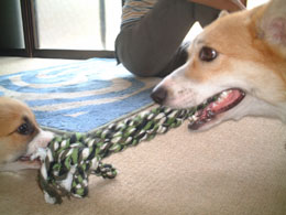 �l�̂ق������������`�`�I�I