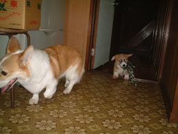 ���тɁA�䂸���Ă���I�I