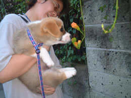 �����������I�I�i�E�\�H�I�j