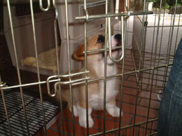 ���������s�������E�E