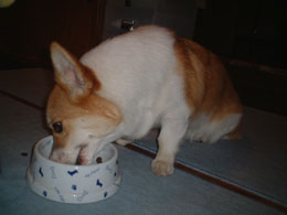 �A�O�A�O�A�O�E�E