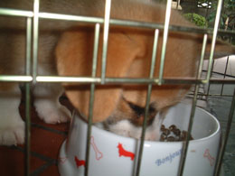 �K�c�K�c�K�c�E�E�E�E