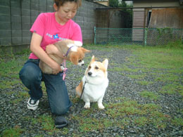 �n�C�E�`�[�Y�I�I