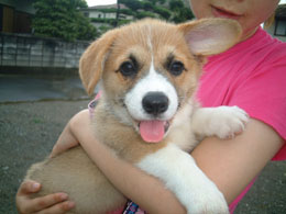 ���U�����ꂿ���킟�I�I